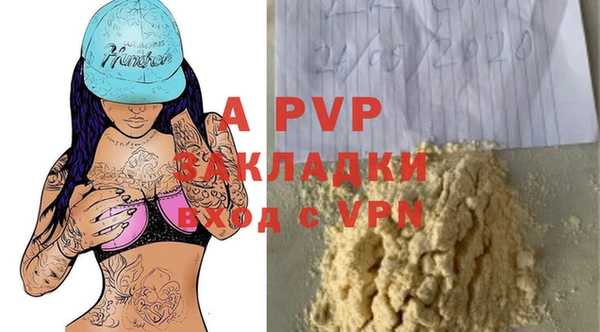 стафф Михайлов