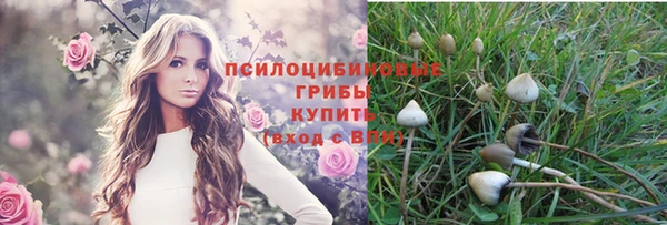 стафф Михайлов