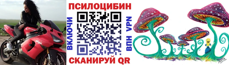 Псилоцибиновые грибы ЛСД  гидра как войти  Новоалександровск  где купить  