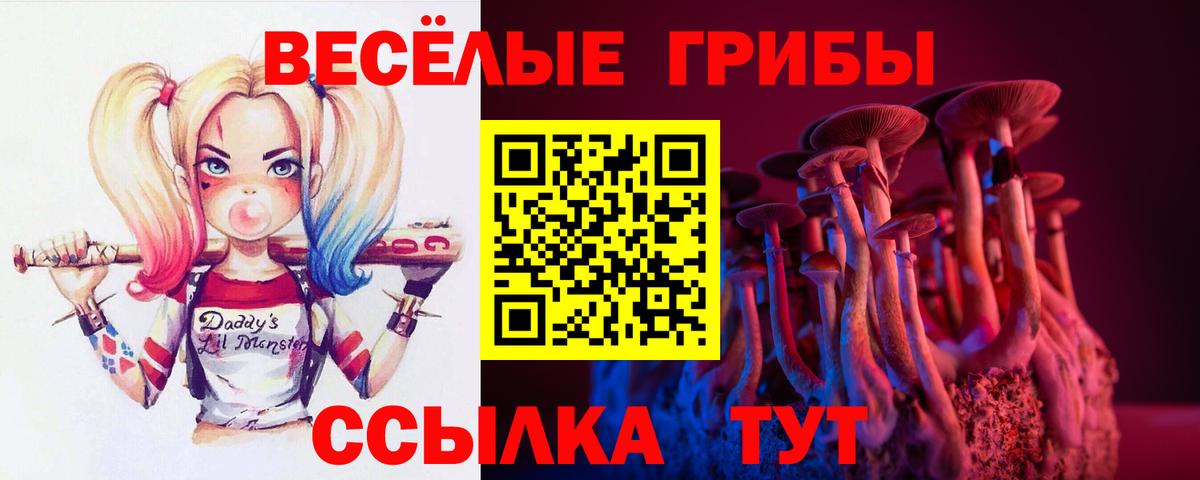 APVP Новоалександровск