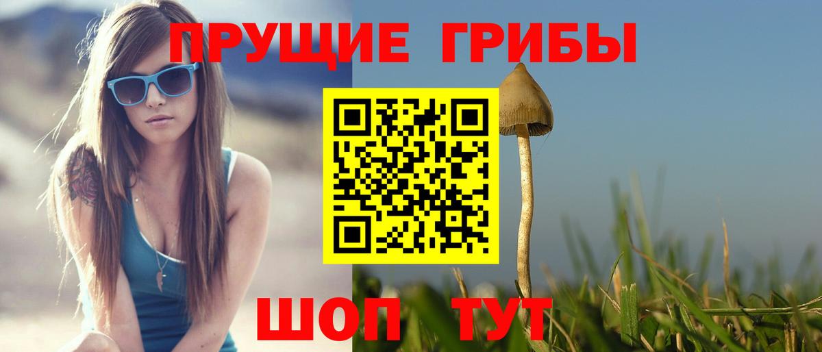 купить закладку  Вход с VPN  Новоалександровск  Галлюциногенные грибы мухоморы 